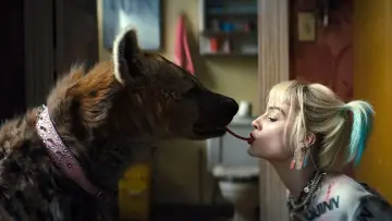 Zasłona do filmu "Ptaki Nocy (i fantastyczna emancypacja pewnej Harley Quinn)" #251138