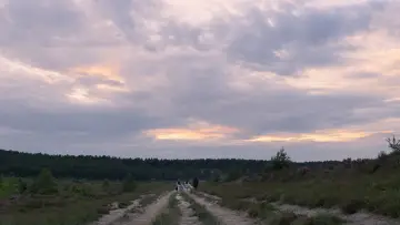 Zasłona do filmu "Czarna Wdowa" #1178458
