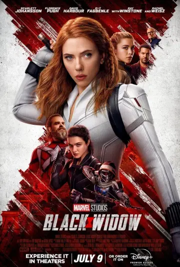 Plakat do filmu "Czarna Wdowa" #23522