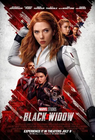 Plakat do filmu "Czarna Wdowa" #23567