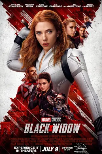 Plakat do filmu "Czarna Wdowa" #313601