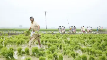 Zasłona do filmu "கடைக்குட்டி சிங்கம்" #452092