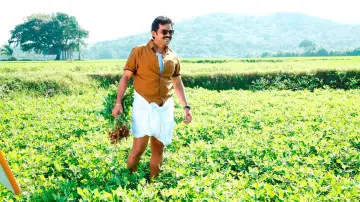 Zasłona do filmu "கடைக்குட்டி சிங்கம்" #452103