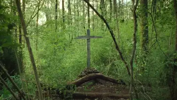 Zasłona do filmu "Diabeł wcielony" #713600