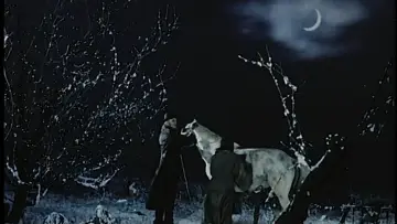 Zasłona do filmu "Die Geschichte vom goldenen Taler" #1578005