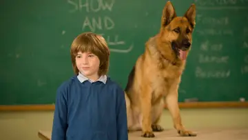 Zasłona do filmu "Cool Dog" #1129193