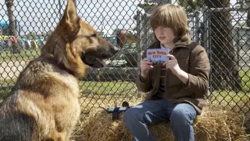 Zasłona do filmu "Cool Dog" #1129194
