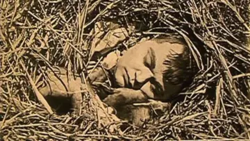 Zasłona do filmu "The Hayseed" #766521