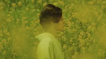 Zasłona do filmu "やさぐれ姐御伝　総括リンチ" #972503