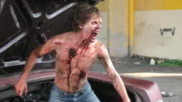 Zasłona do filmu "Plaga Wampirów" #1023600