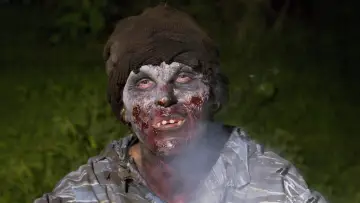 Zasłona do filmu "Plaga Wampirów" #1023614