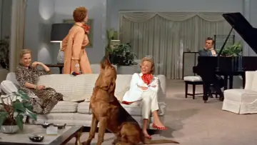 Zasłona do filmu "My Man Godfrey" #1872395