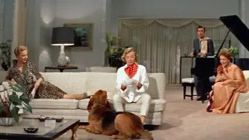 Zasłona do filmu "My Man Godfrey" #1872400