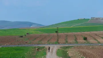 Zasłona do filmu "Yol" #1121854