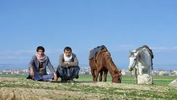 Zasłona do filmu "Yol" #1882828