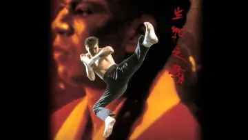 Zasłona do filmu "Kickboxer 4" #455505