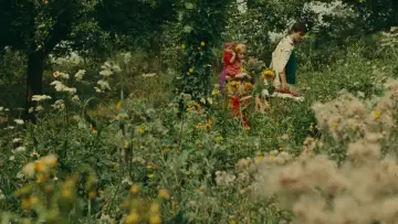 Zasłona do filmu "Szczęście" #1122015