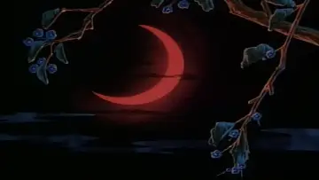 Zasłona do filmu "地下幻燈劇画 少女椿" #800505