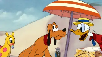 Zasłona do filmu "Piknik na plaży" #1853574