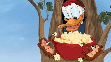 Zasłona do filmu "Popcorn dla wiewiórek" #1860949