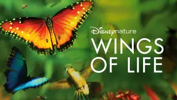 Zasłona do filmu "Wings of Life" #1854656