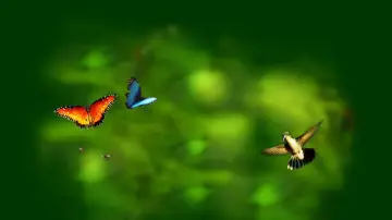Zasłona do filmu "Wings of Life" #1854657