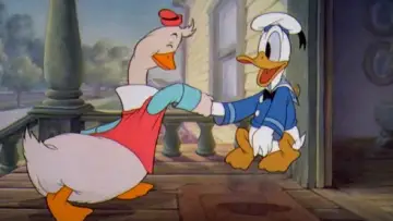 Zasłona do filmu "Donald
