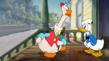 Zasłona do filmu "Donald