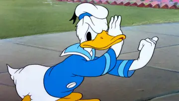 Zasłona do filmu "Donald