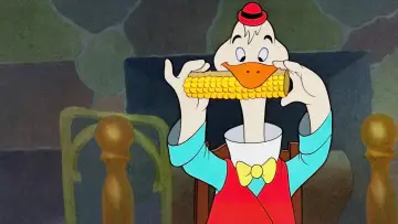 Zasłona do filmu "Donald