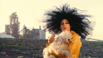 Zasłona do filmu "קלרה הקדושה" #1526670