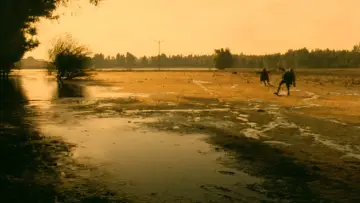 Zasłona do filmu "קלרה הקדושה" #1526675