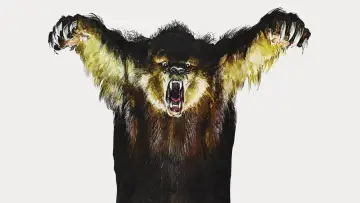 Zasłona do filmu "Grizzly" #418020
