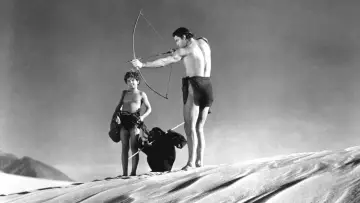 Zasłona do filmu "Tarzan i tajemnica pustyni" #1580463