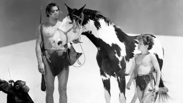 Zasłona do filmu "Tarzan i tajemnica pustyni" #1580466