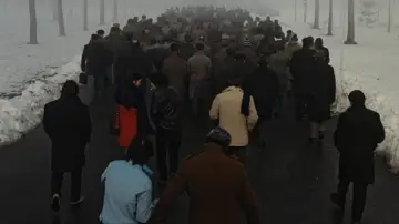 Zasłona do filmu "La classe operaia va in paradiso" #1832766