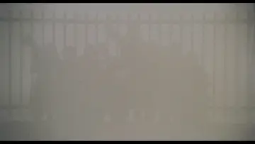 Zasłona do filmu "La classe operaia va in paradiso" #747405