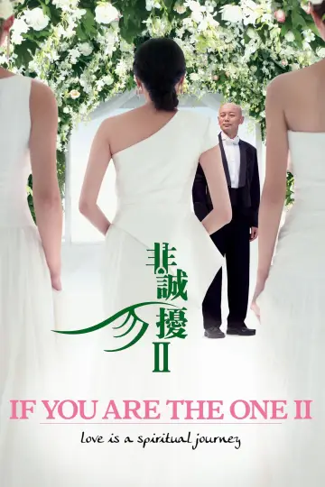 Plakat do filmu "非诚勿扰2" #1017172