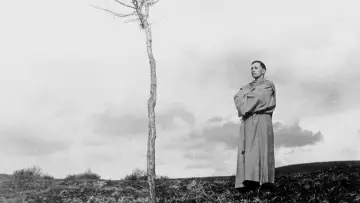 Zasłona do filmu "Franciszek, Kuglarz Boży" #1842572