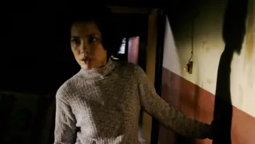 Zasłona do filmu "Goodbye, Dragon Inn" #418935