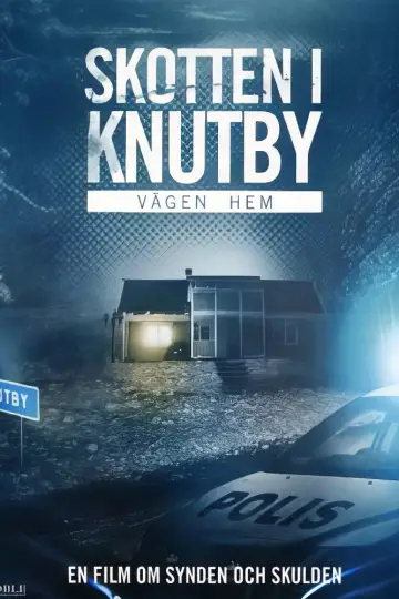 Vägen hem plakat
