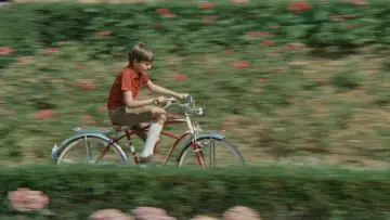 Zasłona do filmu "Incompreso (Vita col figlio)" #1621483