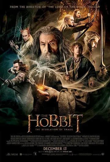Plakat do filmu "Hobbit: Pustkowie Smauga" #16144