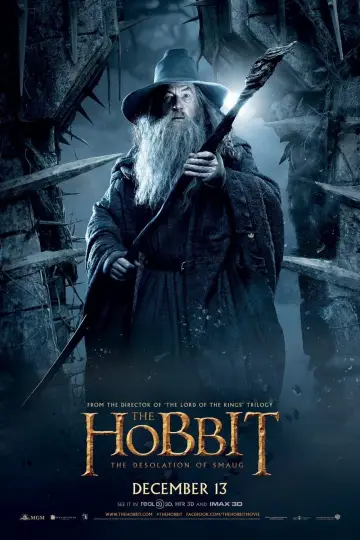 Plakat do filmu "Hobbit: Pustkowie Smauga" #16145