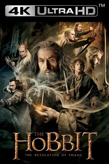 Plakat do filmu "Hobbit: Pustkowie Smauga" #16155