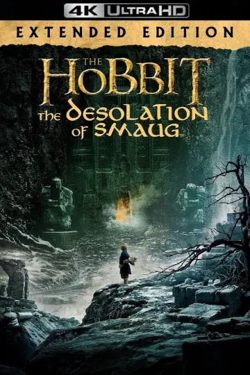 Plakat do filmu "Hobbit: Pustkowie Smauga" #16156