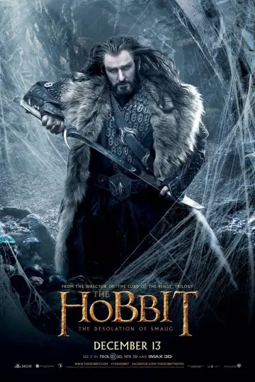 Plakat do filmu "Hobbit: Pustkowie Smauga" #16159