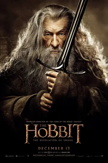 Plakat do filmu "Hobbit: Pustkowie Smauga" #16162