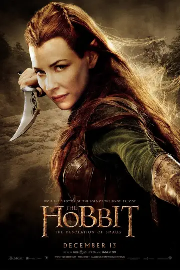 Plakat do filmu "Hobbit: Pustkowie Smauga" #16163