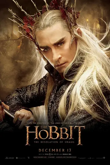 Plakat do filmu "Hobbit: Pustkowie Smauga" #16165
